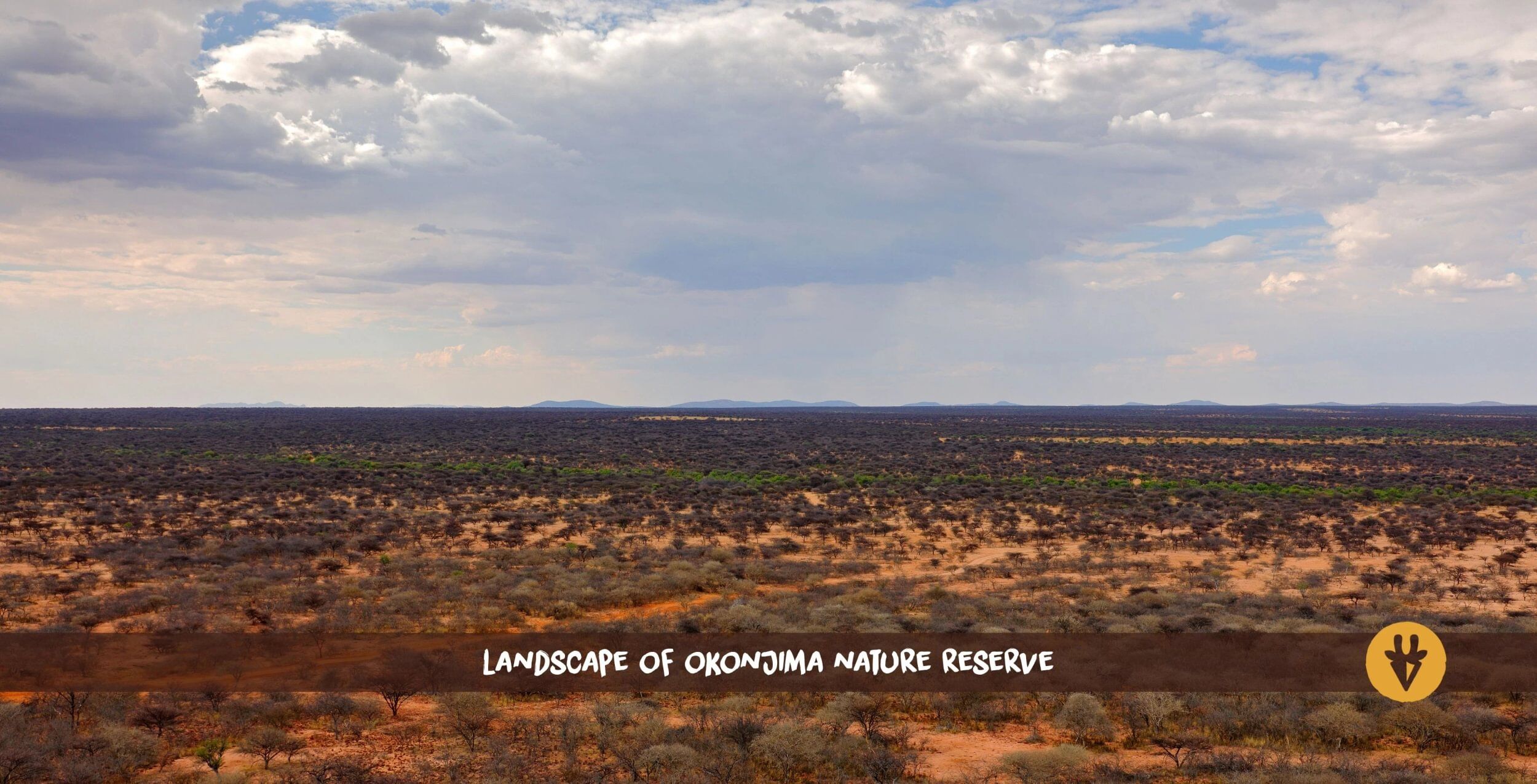 Endlose Landscahft im Okonjima Nature Reserve in Namibia von oben mit Büschen und Bäumen