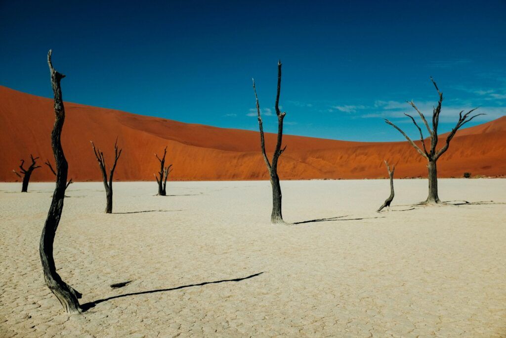 Tote Bäume in Deadvlei im Sossusvlei Nationalpark in Namibia