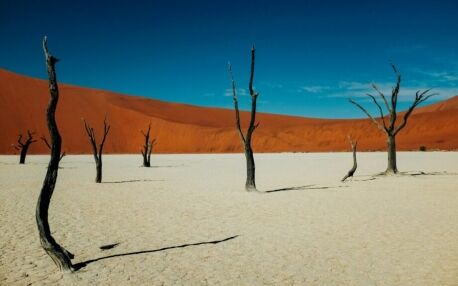 Tote Bäume in Deadvlei im Sossusvlei Nationalpark in Namibia