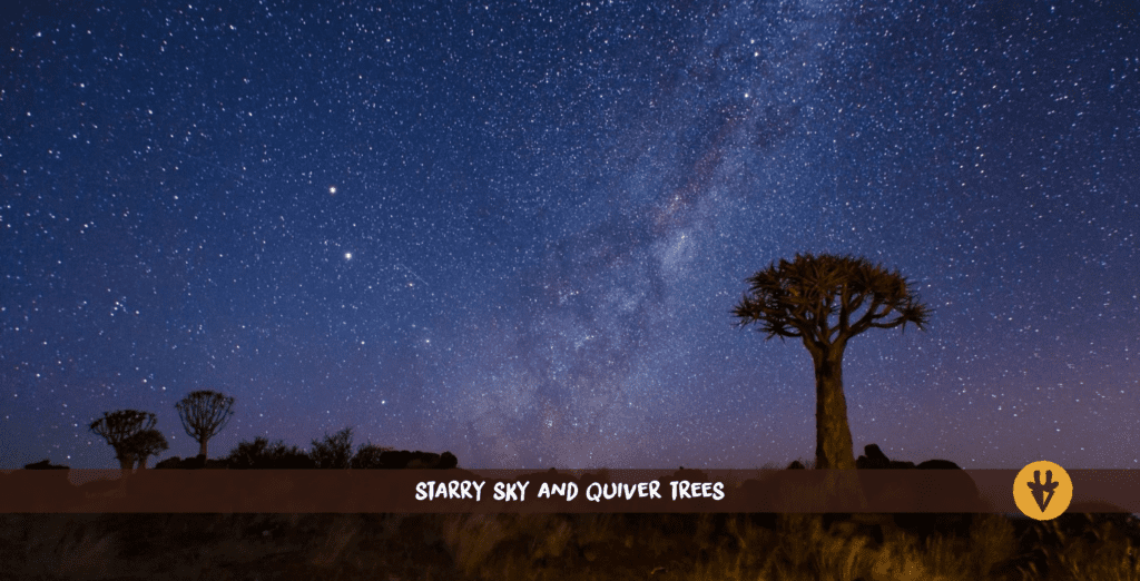 Starry Sky and Quiver Tree Namibia