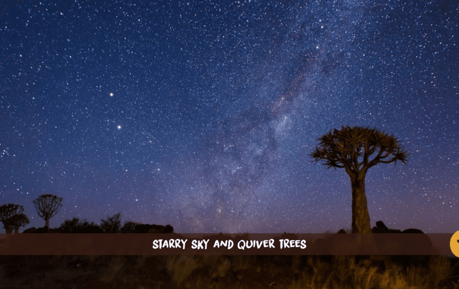 Namibia Sternenhimmel mit der Milchstraße und Köcherbäumen davor
