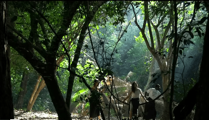 Menschen im Wald