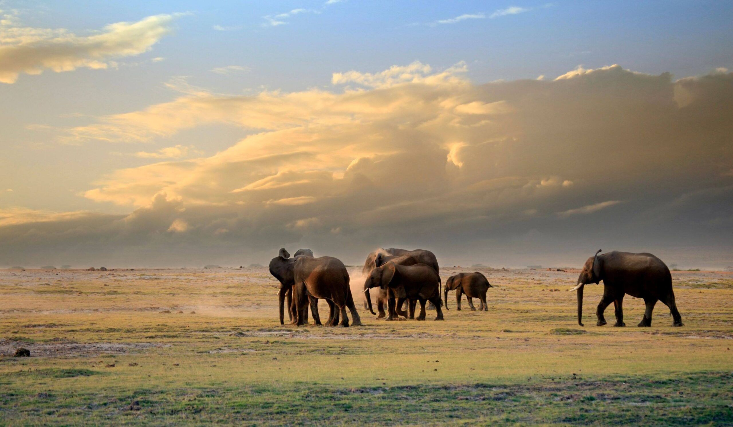 Amboseli Nationalpark