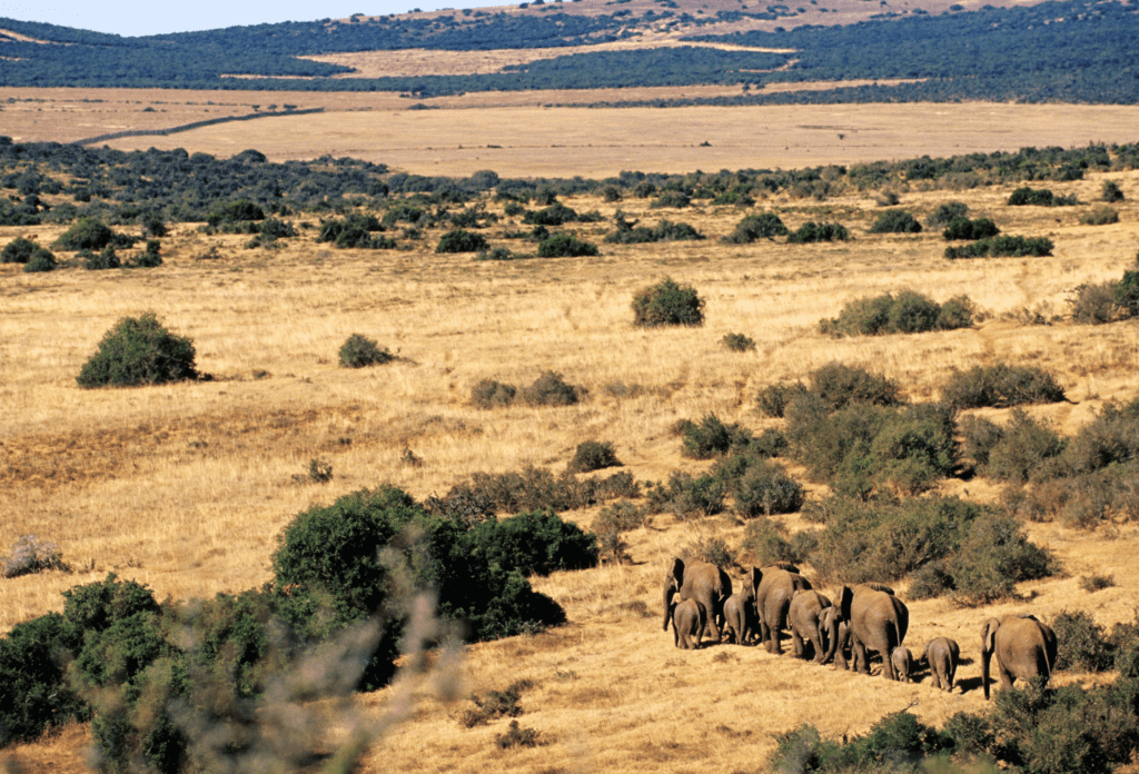 Landschaft im Ostkap Südafrika