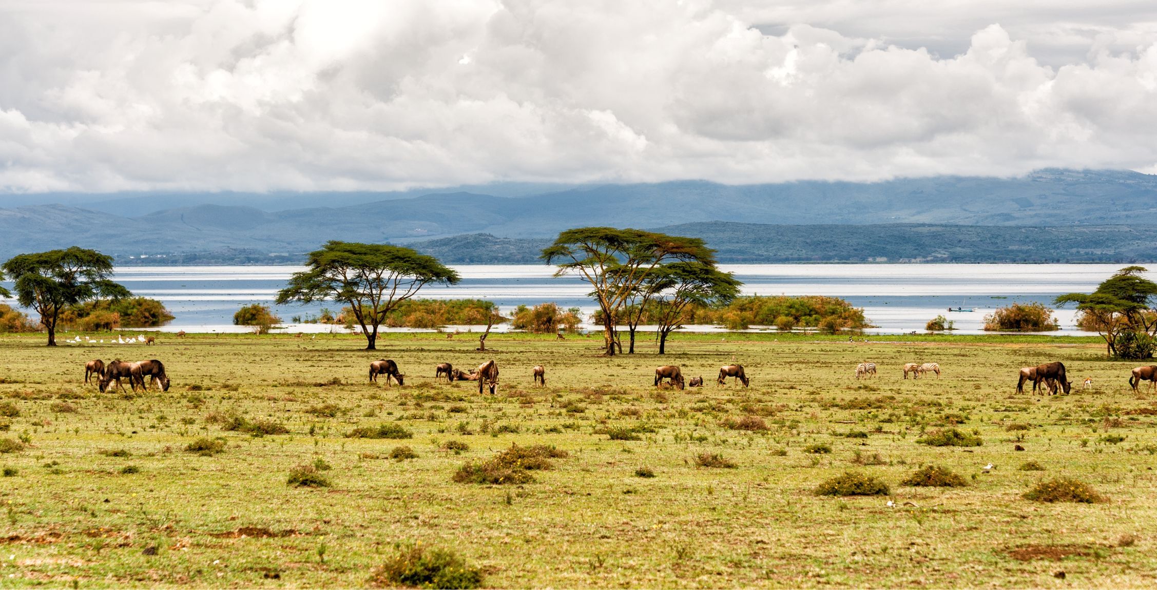 Fahrt von der Solio Conservancy zum Lake Naivasha