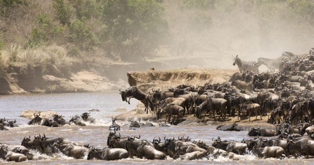 the great migration