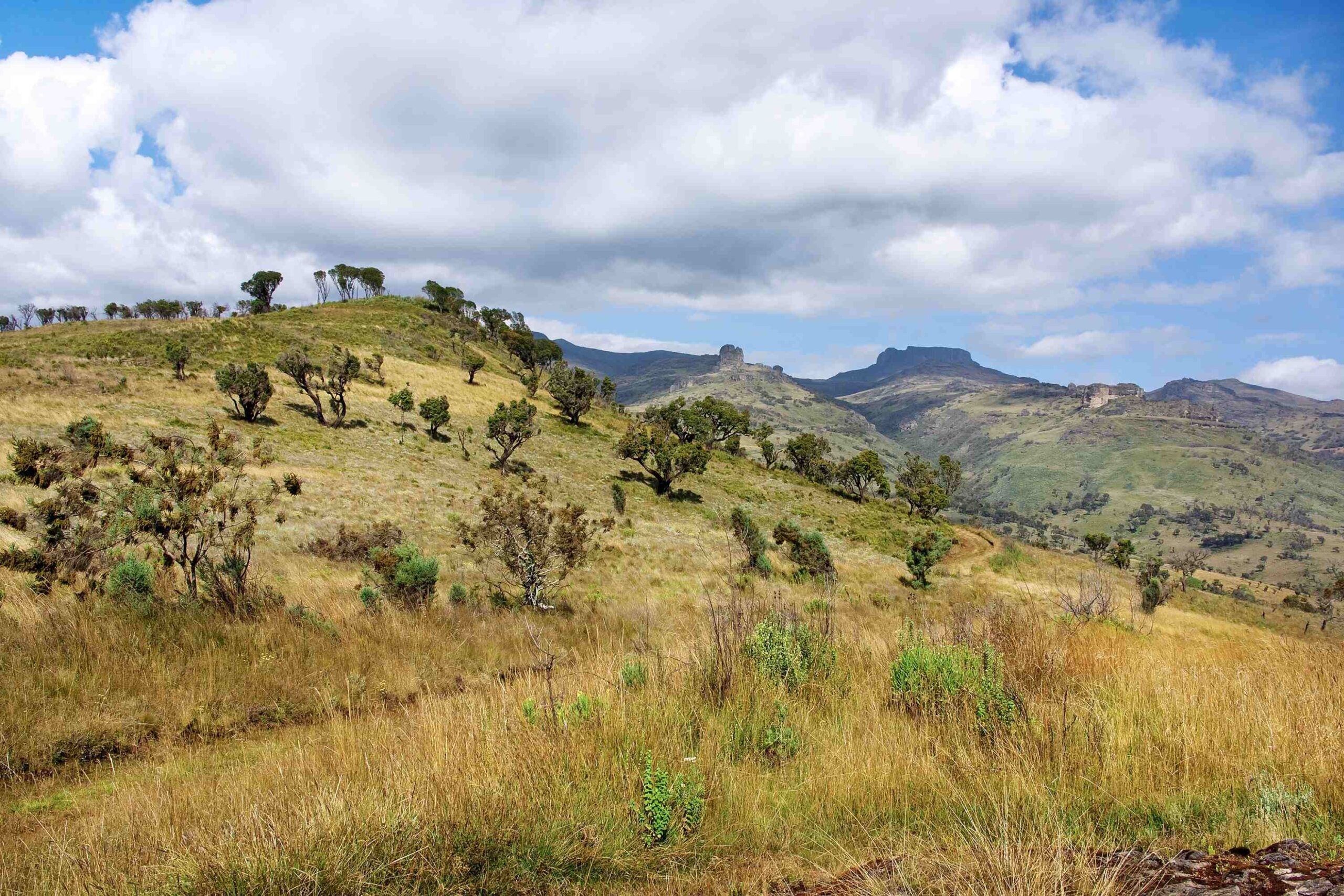 Fahrt von Entebbe / Kampala zu den Sipi Falls