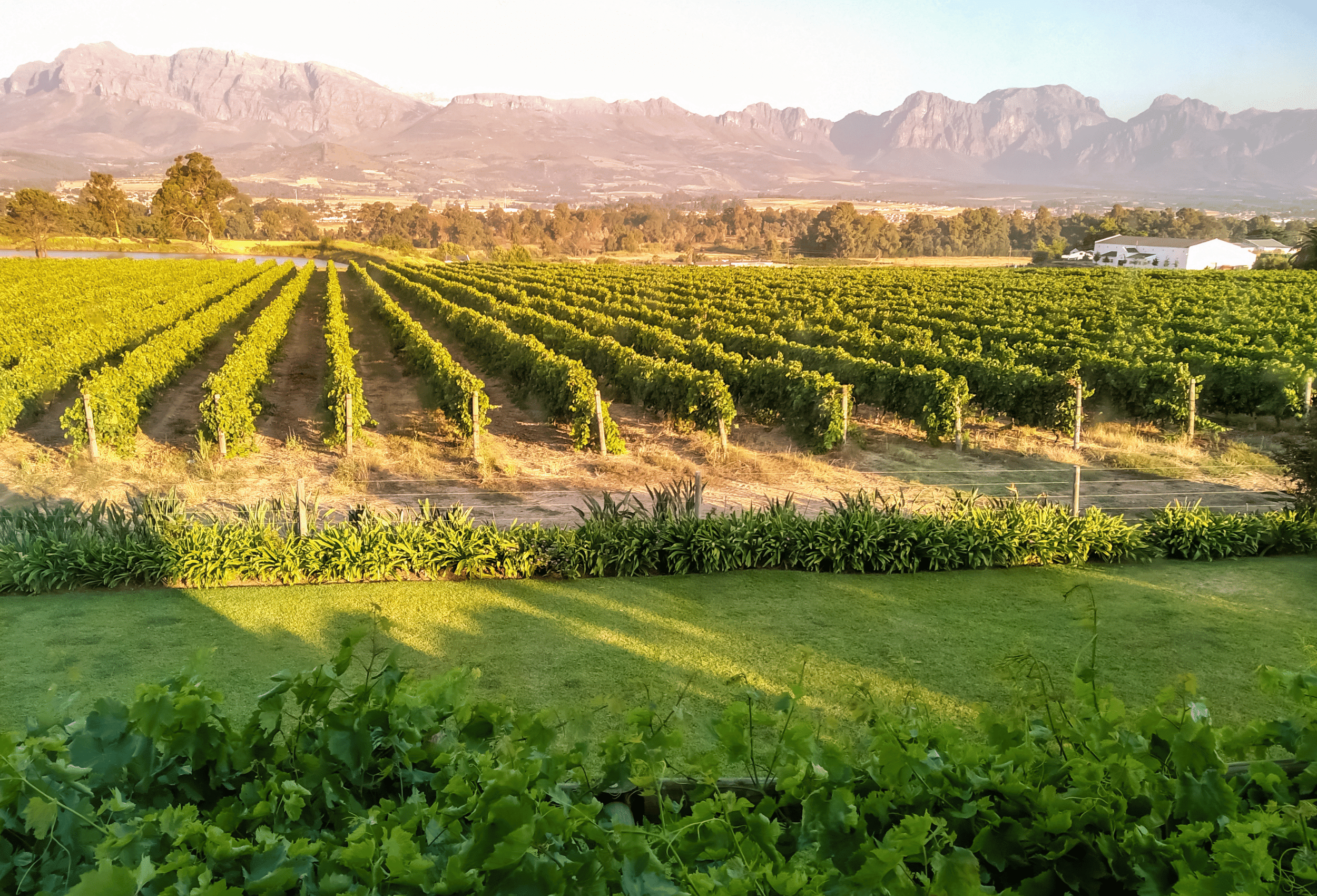 South-Africa_Winelands_Paarl