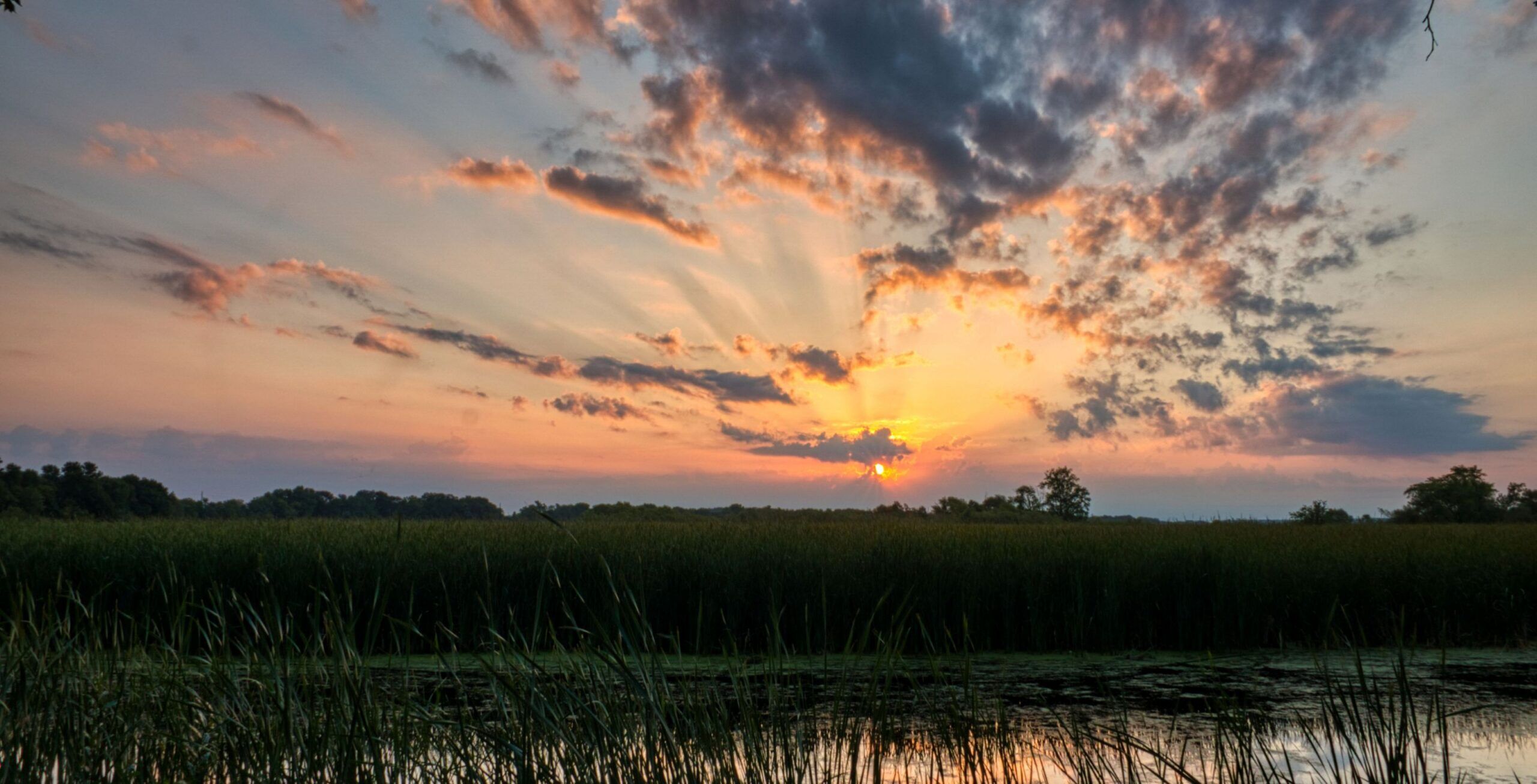Flug von Khwai Community Concession nach Savuti Marsh