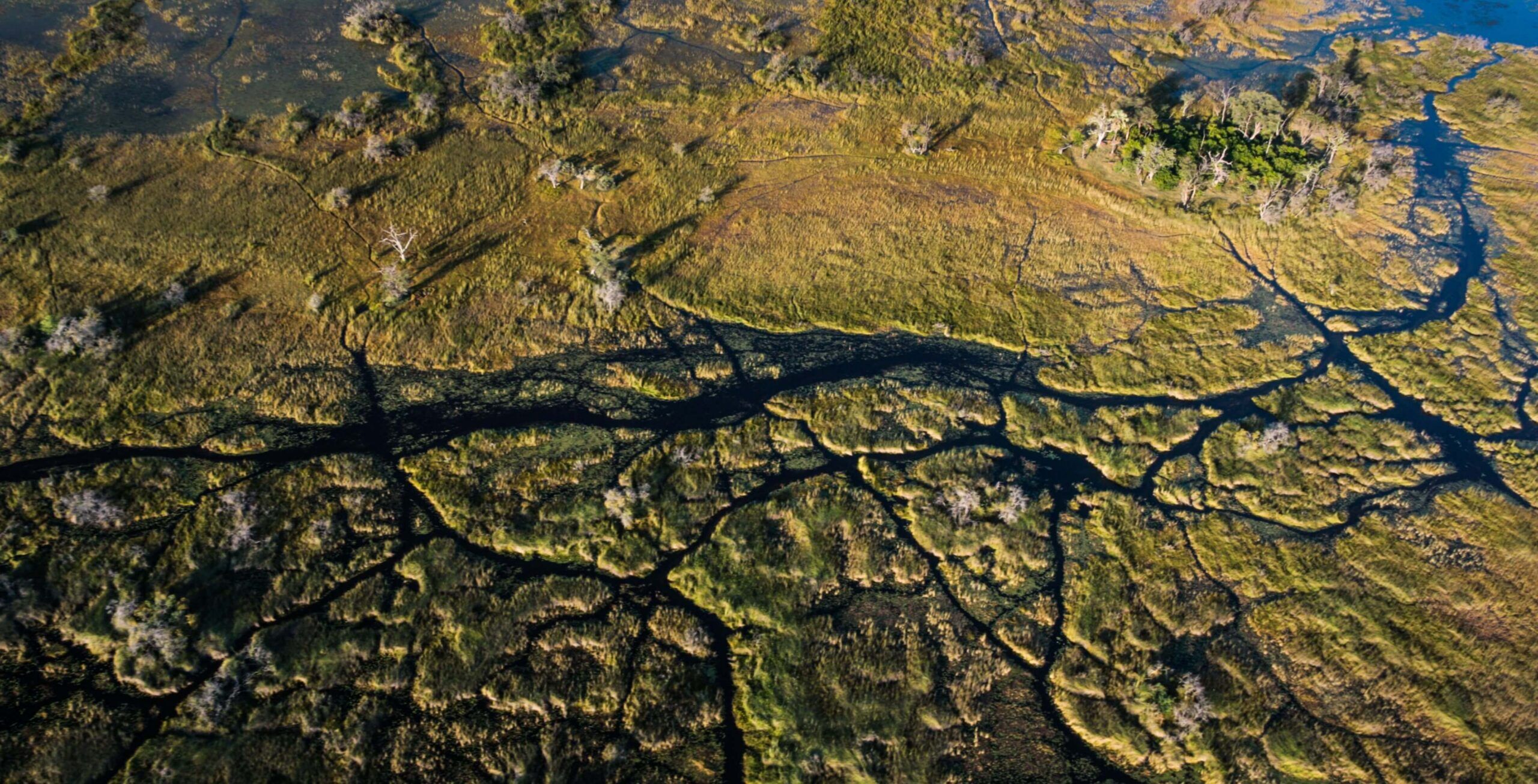 Das atemberaubende Okavango Delta
