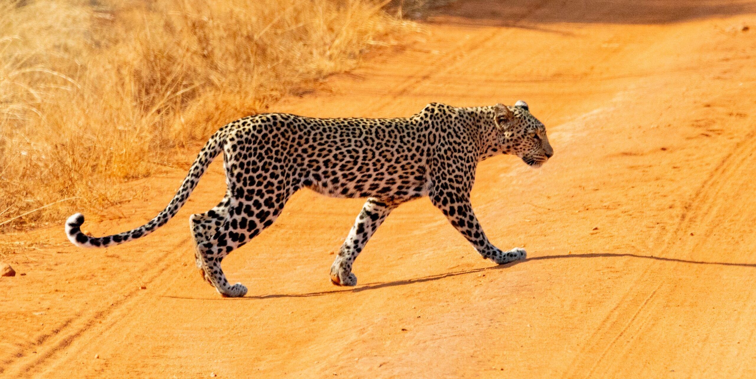 Tsavo West Nationalpark