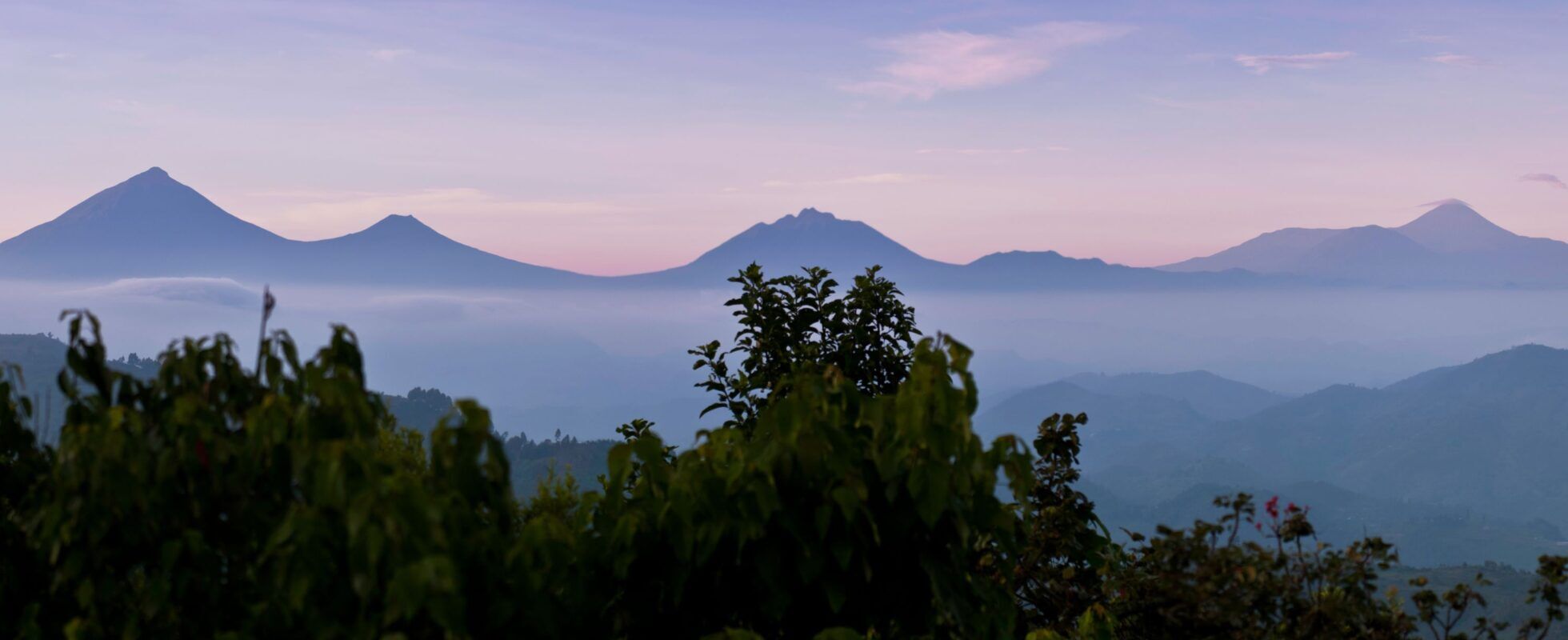 Die beeindruckenden Virunga-Vulkane