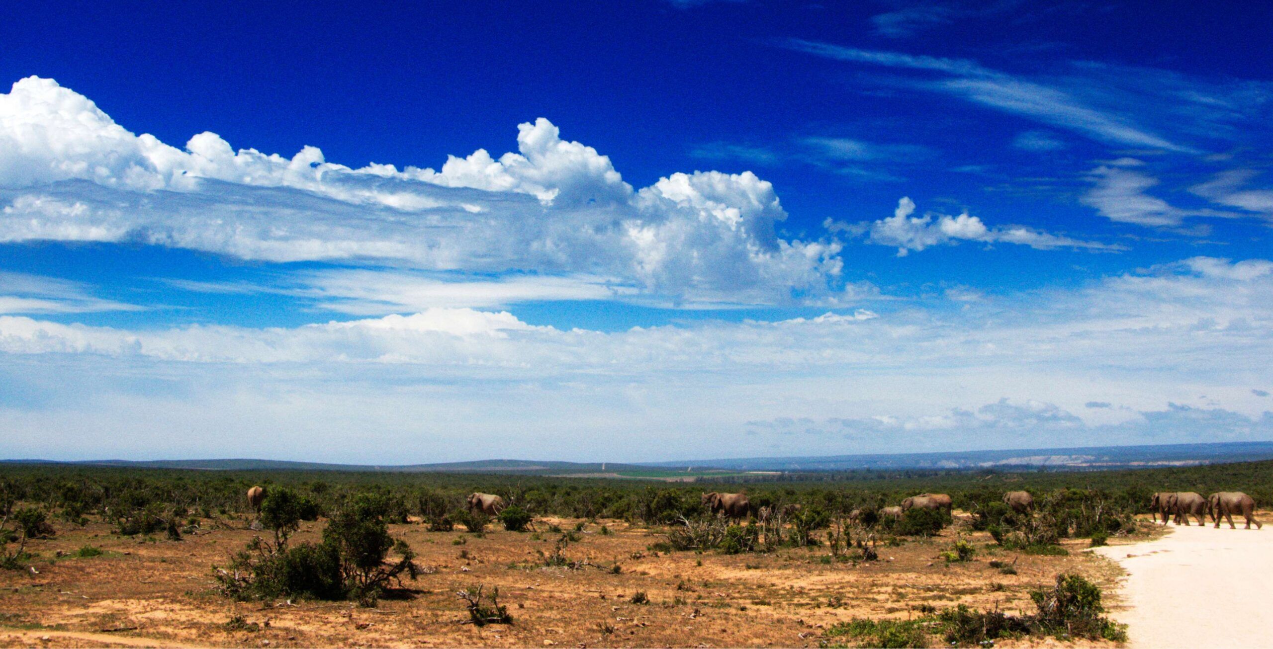 Fahrt von Jeffreys Bay zum Addo Elephant Nationalpark