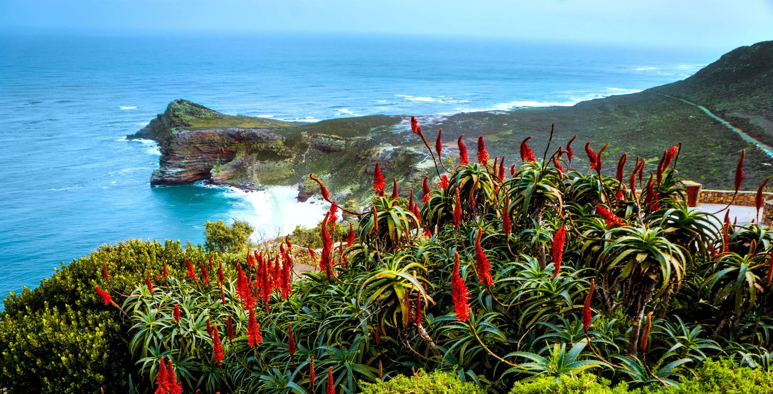 Besuch des Kap der Guten Hoffnung und des Cape Point Abschnitts des Tafelberg Nationalparks