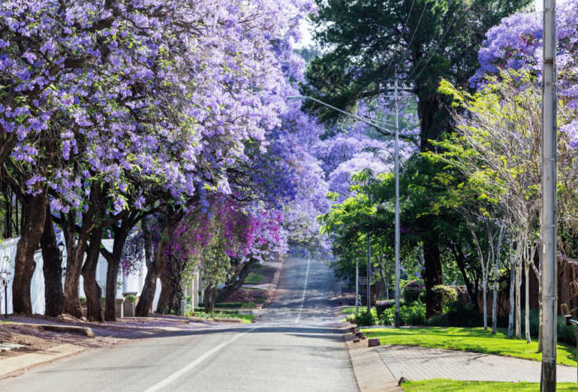 Pretoria Sehenswürdigkeiten