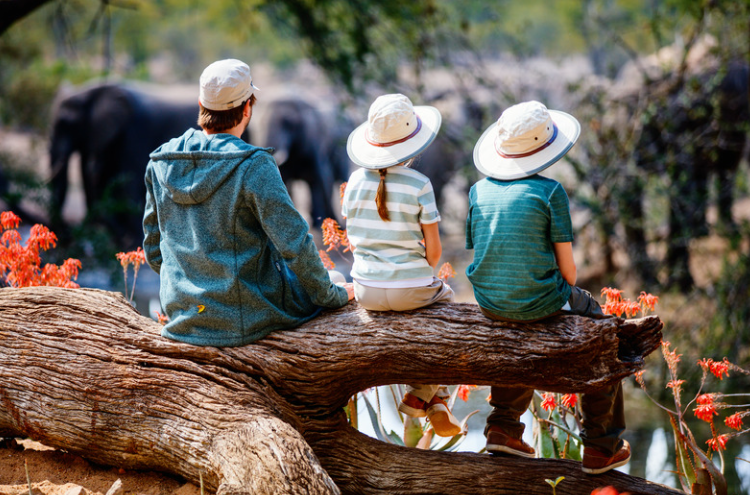 Mann zwei Kinder sitzen auf Baumstamm, Elefanten im Hintergrund